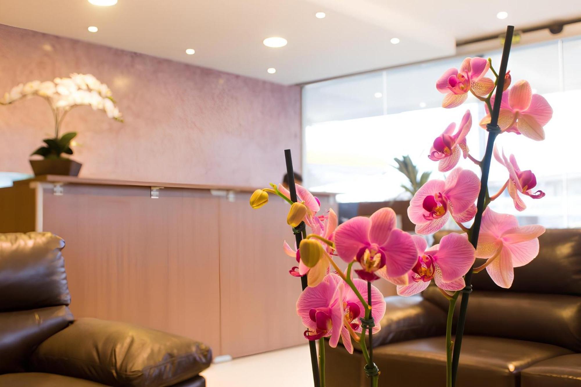 Hotel Toyo Inn 보이투바 외부 사진